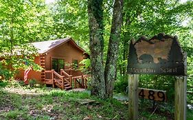 Mountain Spirit Cabin - Fireplace And Hot Tub